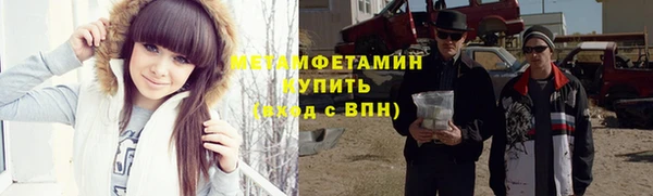прущие грибы Лабытнанги