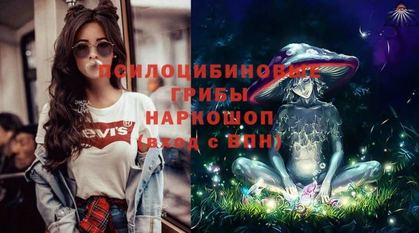 шишки Кукмор