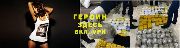 прущие грибы Лабытнанги