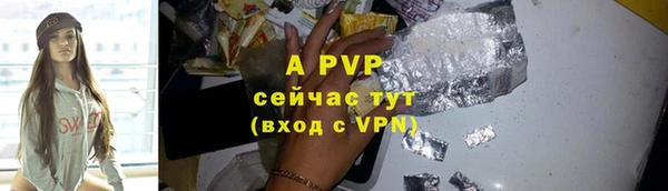 молекула духа Ладушкин