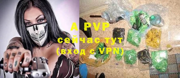прущие грибы Лабытнанги