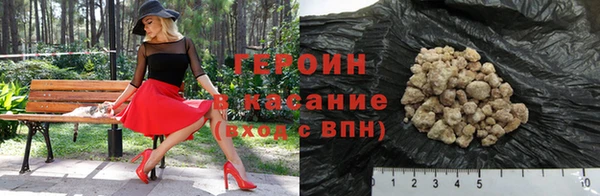 прущие грибы Лабытнанги