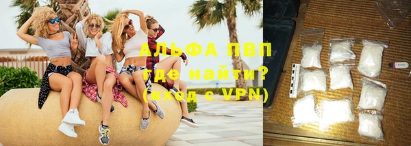 прущие грибы Лабытнанги