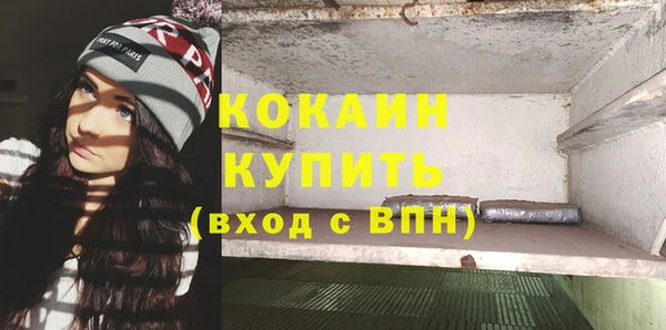 молекула духа Ладушкин