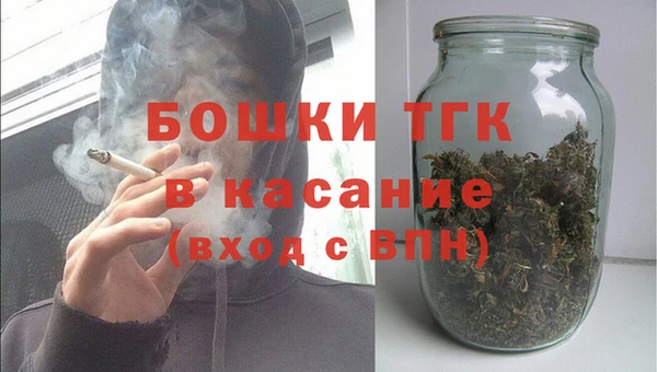 прущие грибы Лабытнанги