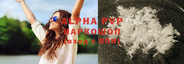 молекула духа Ладушкин