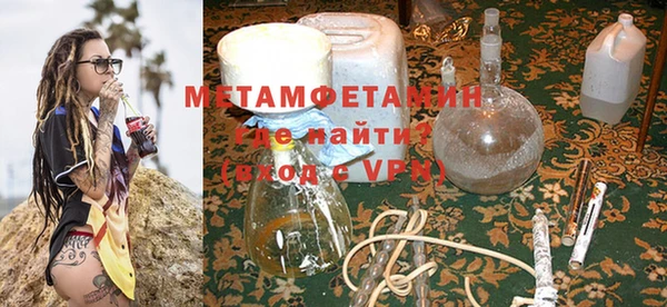 прущие грибы Лабытнанги