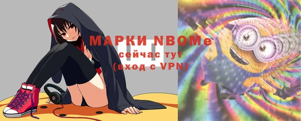 молекула духа Ладушкин